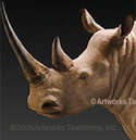rhino